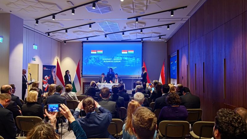 Hungarian-Monaco Business Forum: Valuable Opportunities for Custom Wind Solution