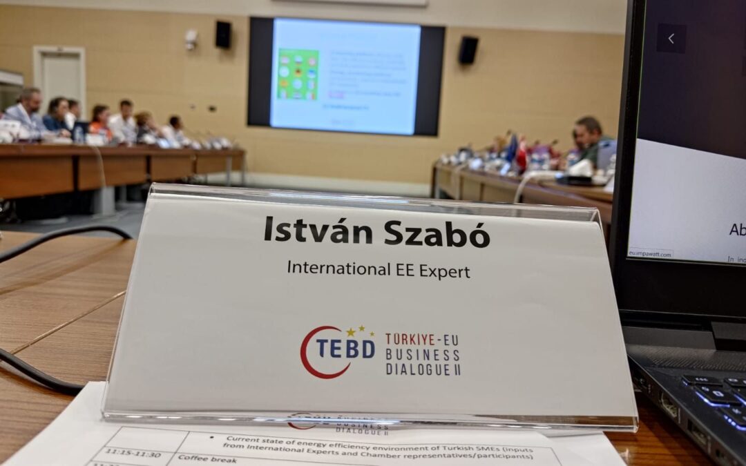 New Chapter: International Expert Role at Türkiye-EU Business Dialogue